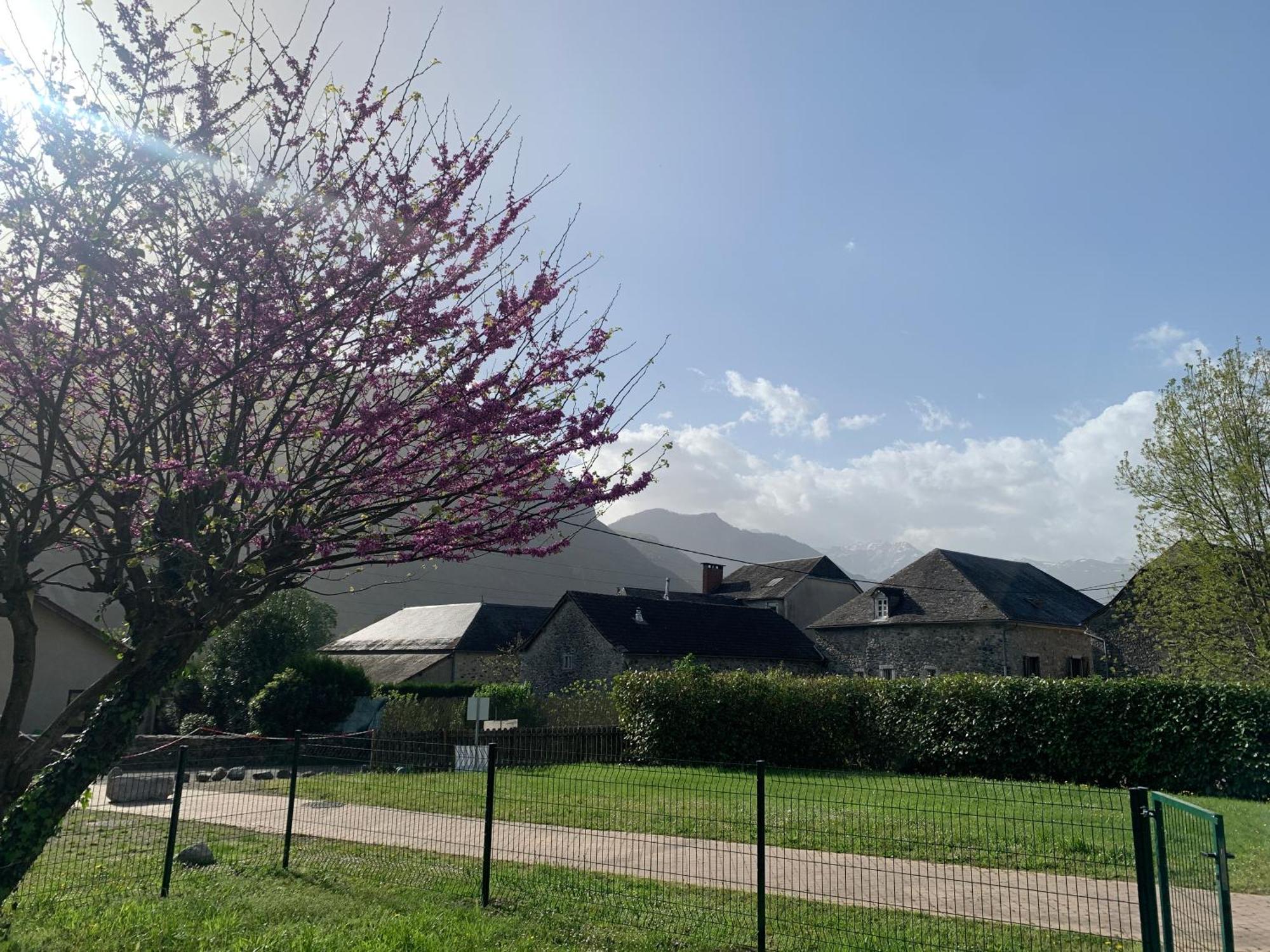 La Suite Unique - Le Jardin Sur Les Pyrenees- Vue Panoramique Montagne -Jardin Cloture Prive De 100M2-Parking-Linge De Lit Et Serviettes Compris- Bielle Exterior photo